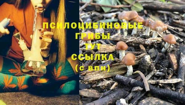 скорость Алзамай