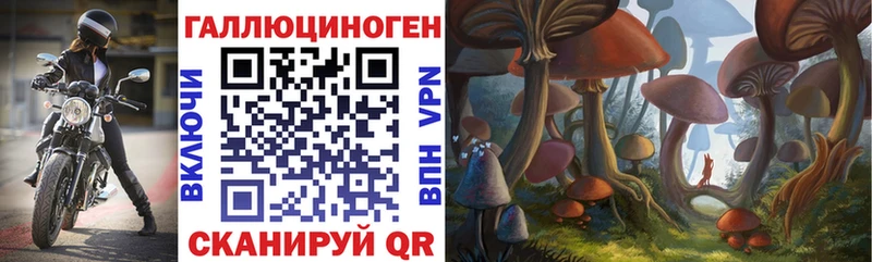 Галлюциногенные грибы Cubensis  Белово 