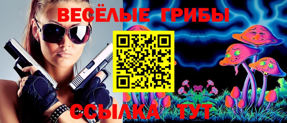 где можно купить   Белово  Галлюциногенные грибы MAGIC MUSHROOMS 